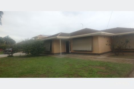 Property photo of 6 Van Dieman Street Flinders Park SA 5025