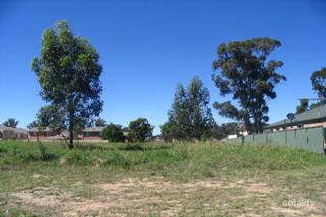 Property photo of 41 Morehead Avenue Mount Druitt NSW 2770