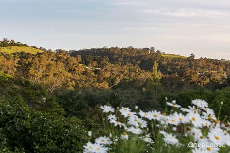 Property photo of 4 Heather Drive Coromandel Valley SA 5051