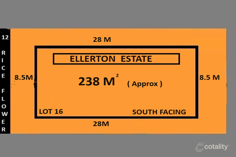 Property photo of 12 Rice Flower Crescent Strathtulloh VIC 3338