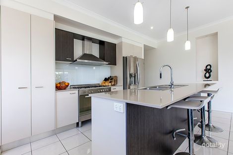Property photo of 15 Parrot Place Mountain Creek QLD 4557