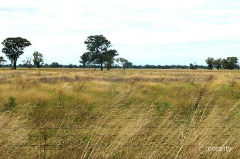 442 Burnewang Rd, Ringwood, NSW 2646