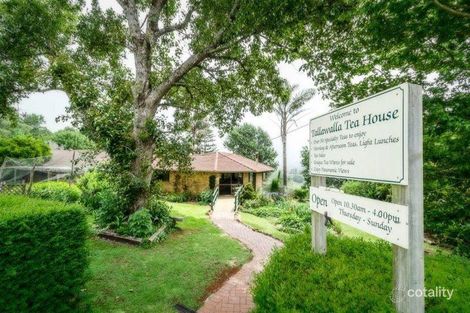 113 Old Coramba Rd S, Dorrigo, NSW 2453