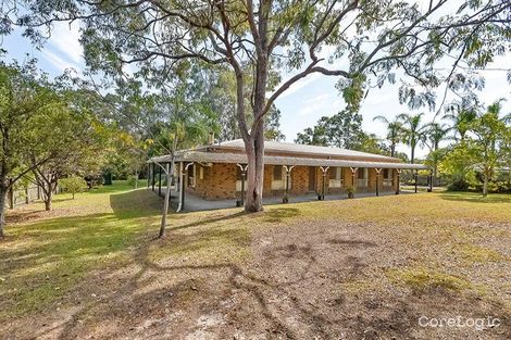 Property photo of 15 Plover Drive Eagleby QLD 4207