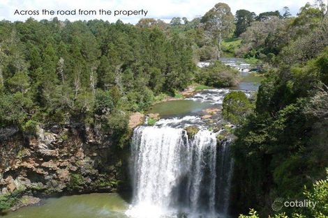 Property photo of 195 Coramba Road Dorrigo NSW 2453