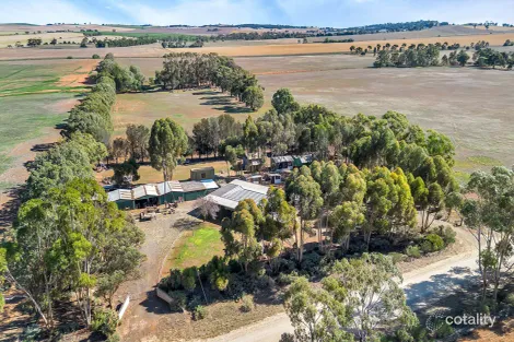 Property photo of 39 Goodfellow Road Bagot Well SA 5373