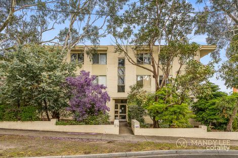 Property photo of 11/32-34 Albion Road Box Hill VIC 3128