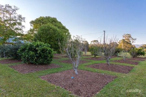 Property photo of 1128 Lansdowne Road Melinga NSW 2430