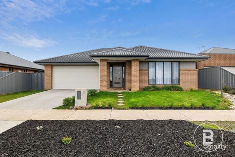 47 Vetrano Ave, Alfredton, VIC 3350