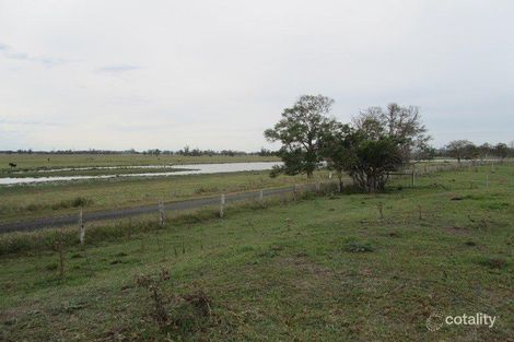 Property photo of 394 Calligans Creek Road Calliope NSW 2462