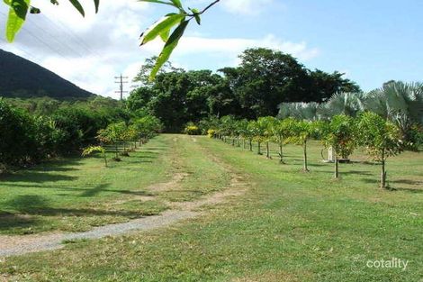 Property photo of 1698 Conway Road Conway QLD 4800