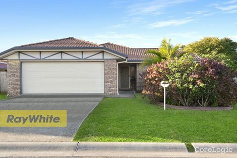 Property photo of 21 Fleet Drive Kippa-Ring QLD 4021