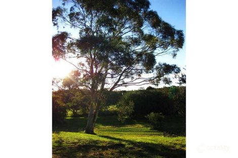 Property photo of 6 Sansom Road Williamtown NSW 2318