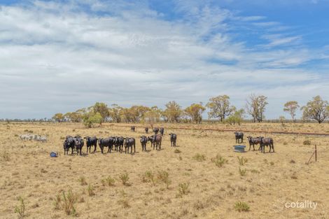 735 Clear Ridge Rd, Wyalong, NSW 2671
