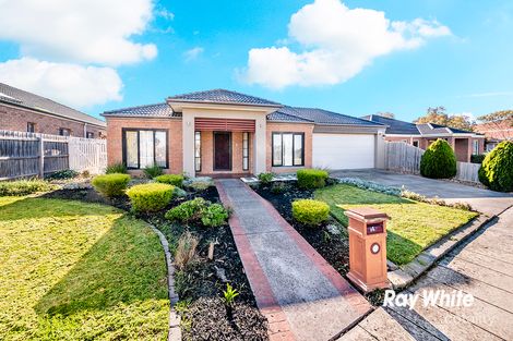 Property photo of 142 Paterson Drive Lynbrook VIC 3975