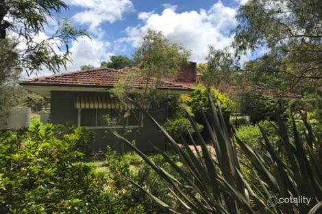 Property photo of 23 Zamia Street Northcliffe WA 6262