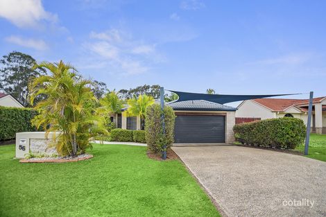 Property photo of 56 Saint Stephens Drive Upper Coomera QLD 4209