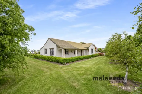 Property photo of 164 Mount Gambier Road Millicent SA 5280