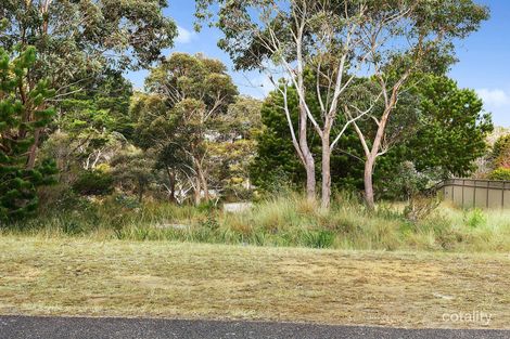 10 Kitchener Ave, Wentworth Falls, NSW 2782