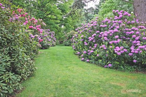 Property photo of 65 Romsey Road Woodend VIC 3442