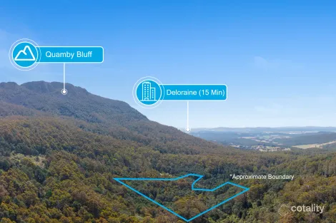 13389 Highland Lakes Rd, Golden Valley, TAS 7304