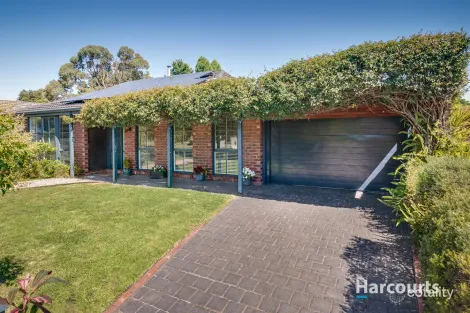 11 Kennington Park Dr, Endeavour Hills, VIC 3802