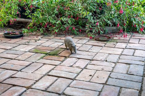 Property photo of 787 Springmount Road Inman Valley SA 5211