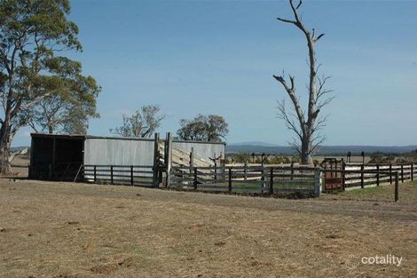 Property photo of 41 Varney Crescent Traralgon East VIC 3844