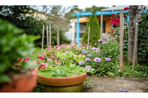 Property photo of 15 Mary Street Bellingen NSW 2454