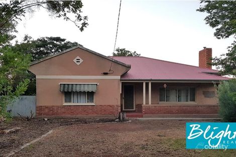 Property photo of 32 Harrison Street Risdon Park SA 5540