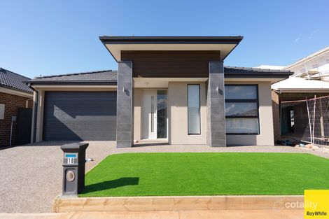 18 Ivory St, Cobblebank, VIC 3338