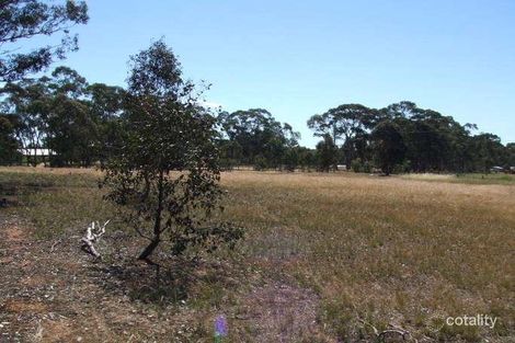 Property photo of 23 Codrington Street Newstead VIC 3462