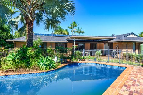 Property photo of 20 Colvillea Court Palm Beach QLD 4221