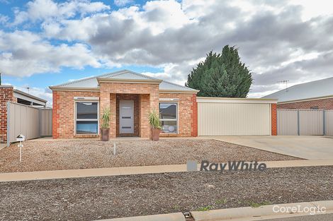 Property photo of 12 Anne Cox Drive Red Cliffs VIC 3496