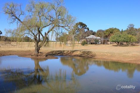 1564 Mount Hope Rd, Coolah, NSW 2843