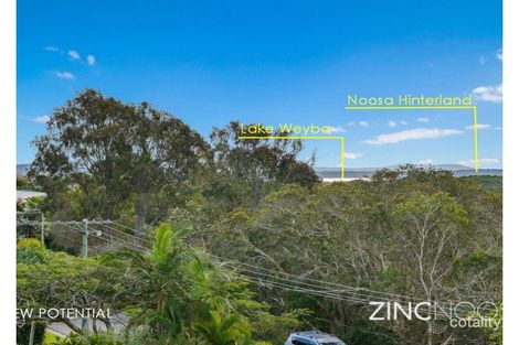 Property photo of 38 Spoonbill Street Peregian Beach QLD 4573