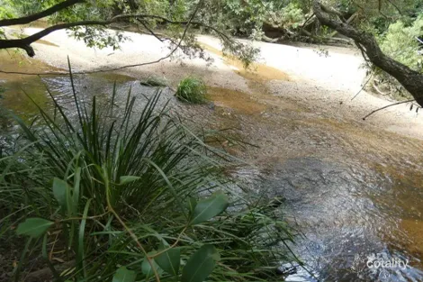 397 Mollenhagens Rd, Rosedale, QLD 4674