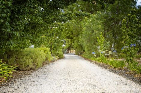 Property photo of 14 Samuel Road Nuriootpa SA 5355