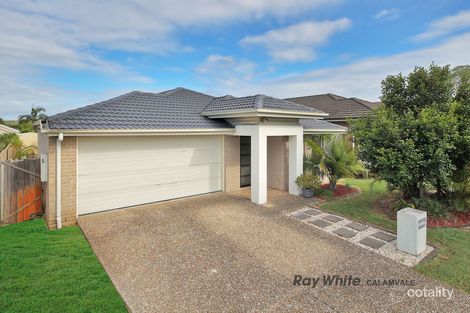 Property photo of 19 Moogerah Boulevard Redbank Plains QLD 4301