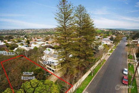Property photo of 221 Noble Street Newtown VIC 3220