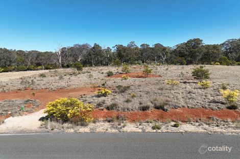 Property photo of 21 Hunt Place Emmaville NSW 2371