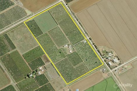 100 Ross Rd, Yoogali, NSW 2680