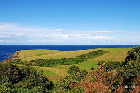 Property photo of 16 Anembo Crescent Kiama Heights NSW 2533