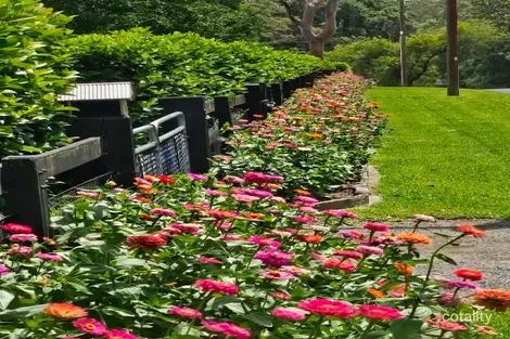 Property photo of 15 Cobah Road Arcadia NSW 2159