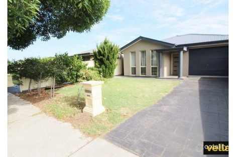 17 Broughton Ave, Kurralta Park, SA 5037