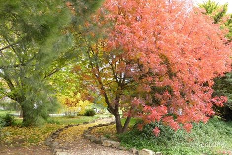 Property photo of 468 Icely Road Orange NSW 2800