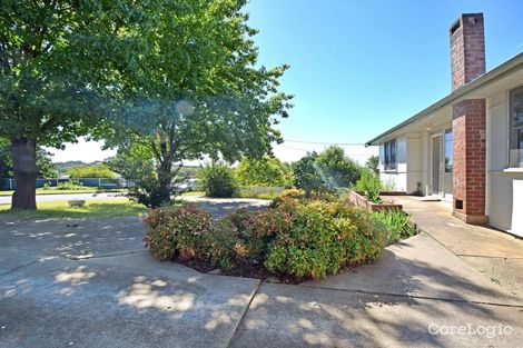 Property photo of 119 Berthong Street Young NSW 2594