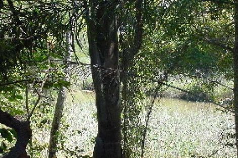 Property photo of 4 Kalanda Court Dicky Beach QLD 4551