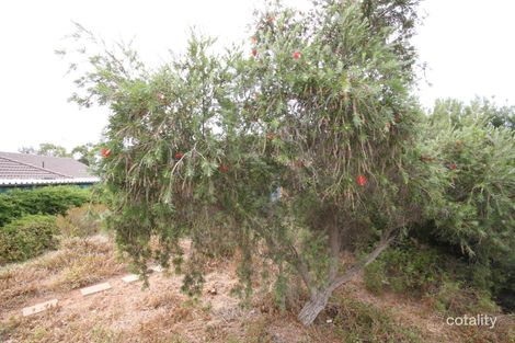 2 Pitcairn Ave, Marion, SA 5043