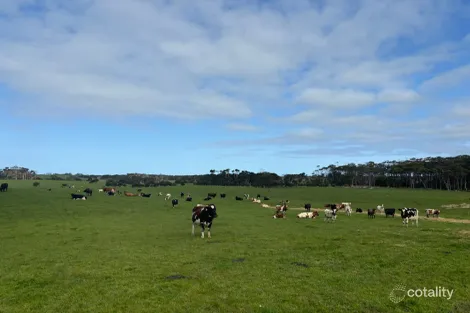 678 Pegarah Rd, Pegarah, TAS 7256